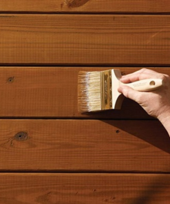 Cách xử lý gỗ tránh bị mối mọt