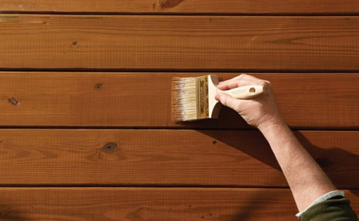 Cách xử lý gỗ tránh bị mối mọt