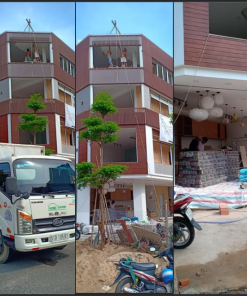 Thi công gỗ nhựa ngoài trời Hanuma
