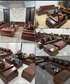 Đặc điểm sinh thái, các loại gỗ sồi