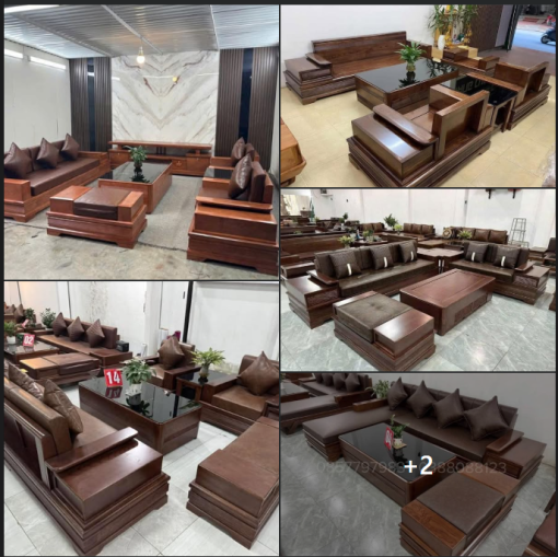 Đặc điểm sinh thái, các loại gỗ sồi